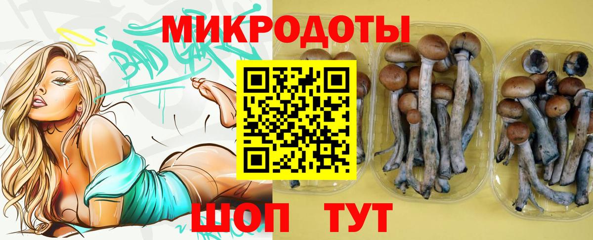 Алексеевка  Галлюциногенные грибы Psilocybe  Галлюциногенные грибы Magic Shrooms  Вход с VPN 