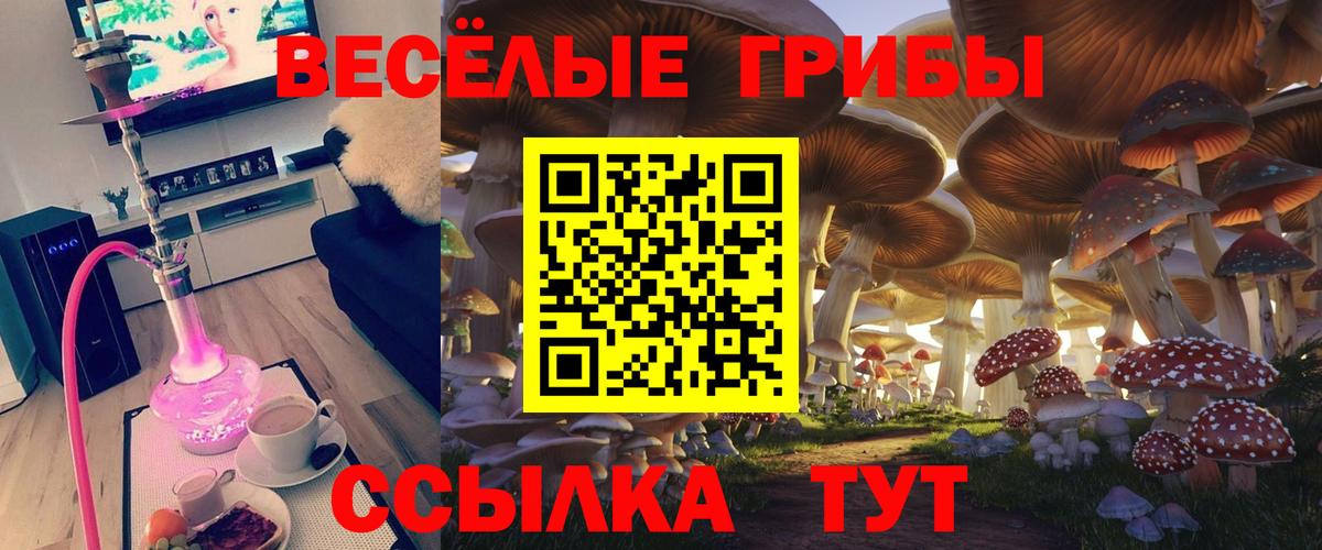 Галлюциногенные грибы мицелий Алексеевка
